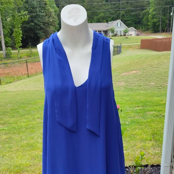 Elegant Blue Sleeveless Dress with Scarf Tie - Picture 5 of 12